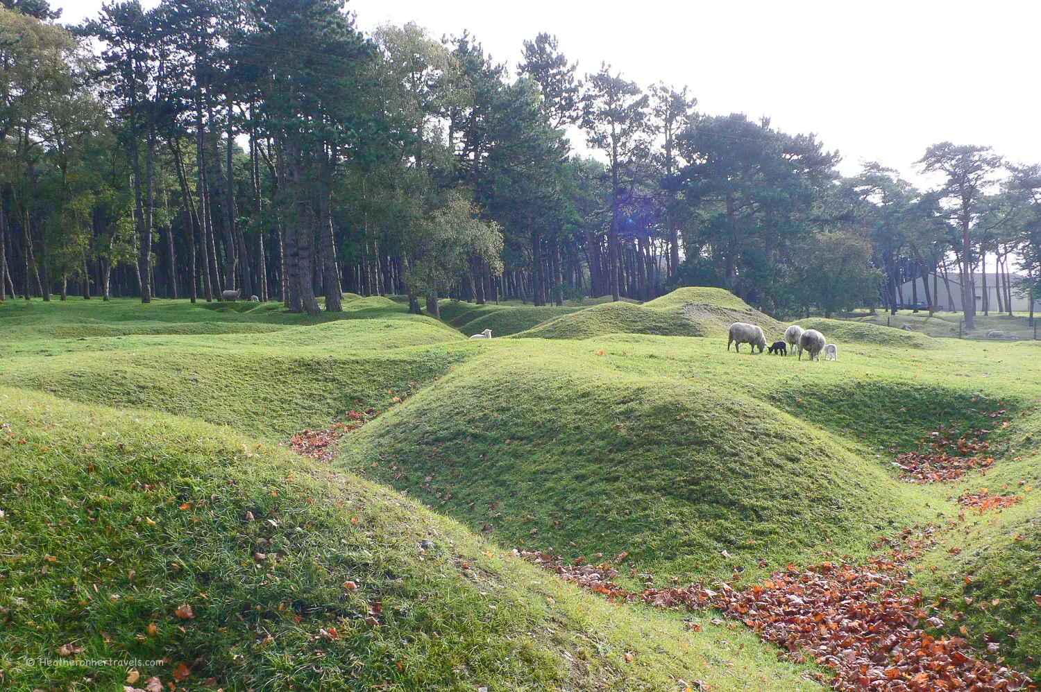 Vimy Ridge, near Arras, France