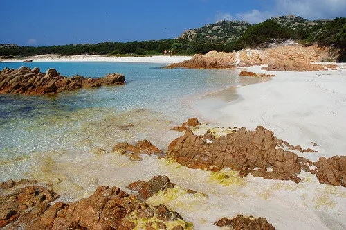 Pink Beach at La Maddalena, Sardinia