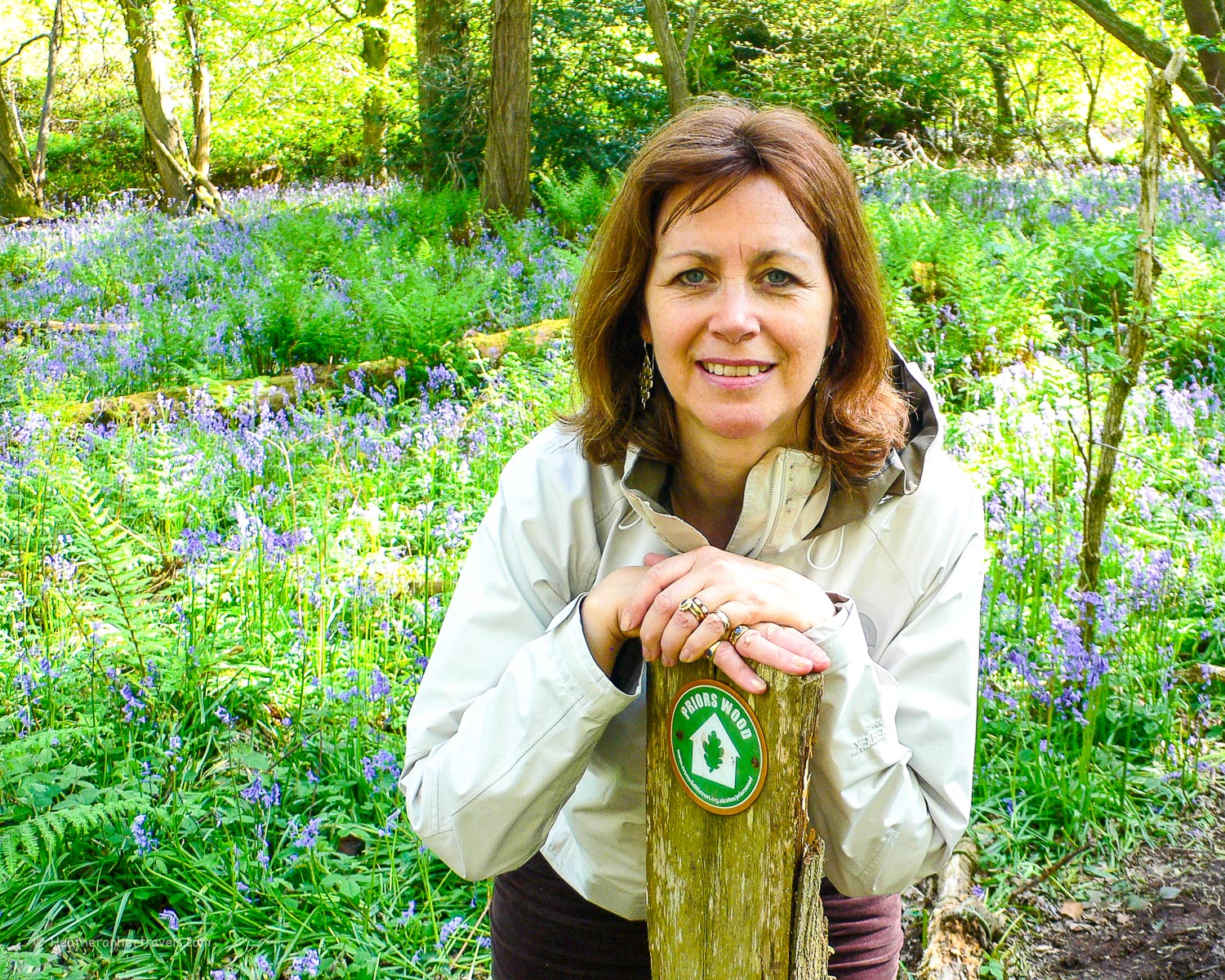 Bluebells in Prior's Wood, near Portbury, Bristol