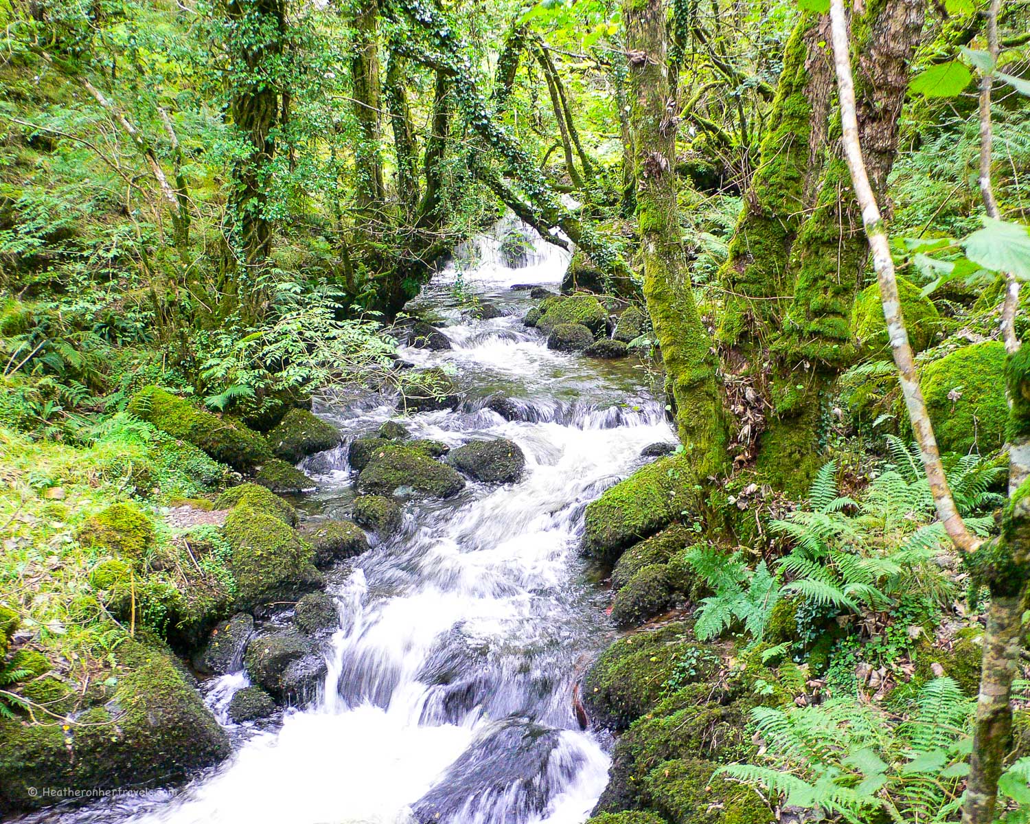 Walk above Peter Tavy on Dartmoor