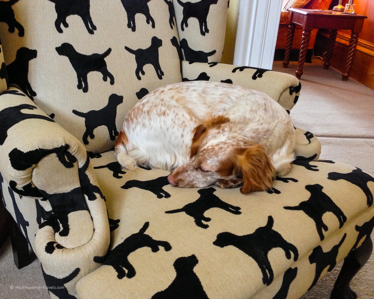 Dogs are also welcome at Prince Hall Hotel, Dartmoor