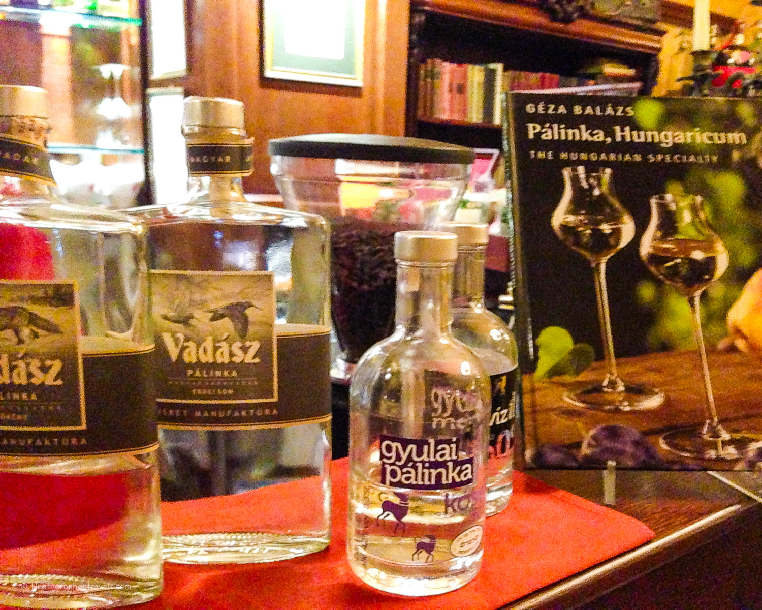 The Strudel House in Budapest Copyright Heatheronhertravels