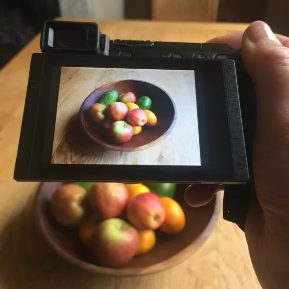 Panasonic Lumix GX80 with tilt screen