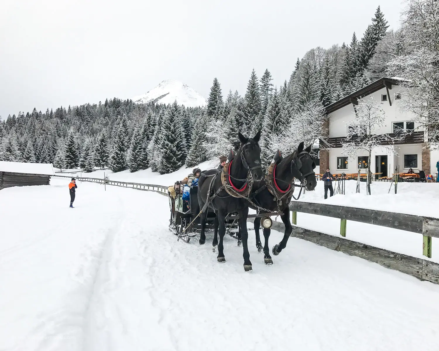 Horse and carriage in Seefeld