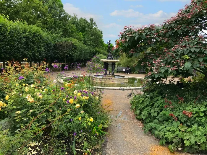 Hyde Park rose garden