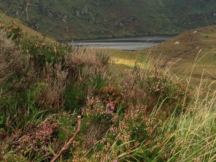 Sally Gap in Wicklow Ireland - PS I love you film location Photo: Heatheronhertravels.com