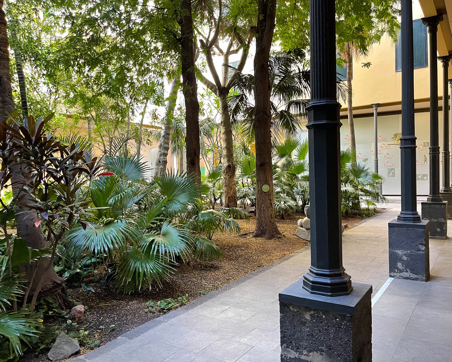 Museum of Natural History and Archaeology Santa Cruz Tenerife Photo Heatheronhertravels.com