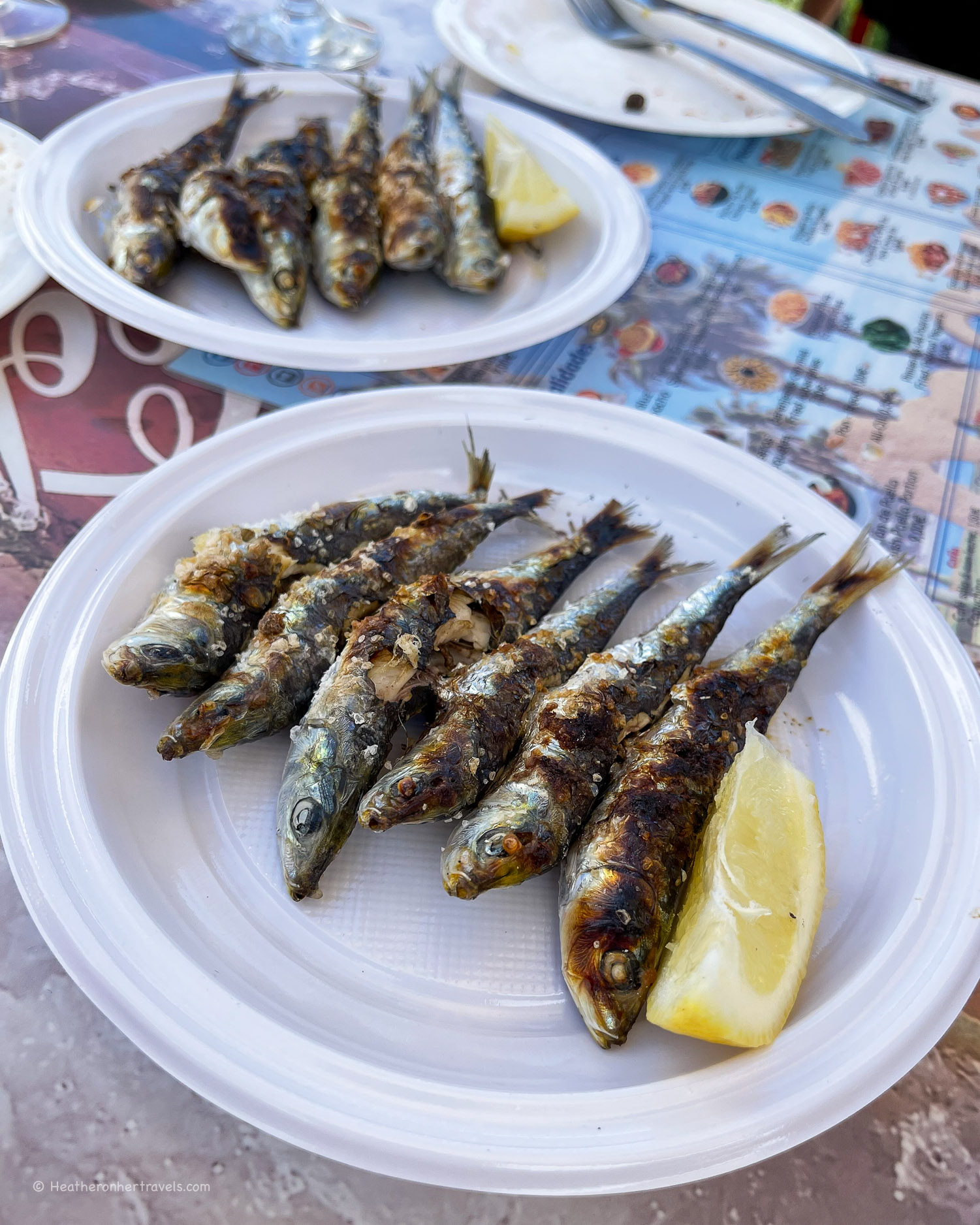Sardines on Malaga beach Spain © Heatheronhertravels.com