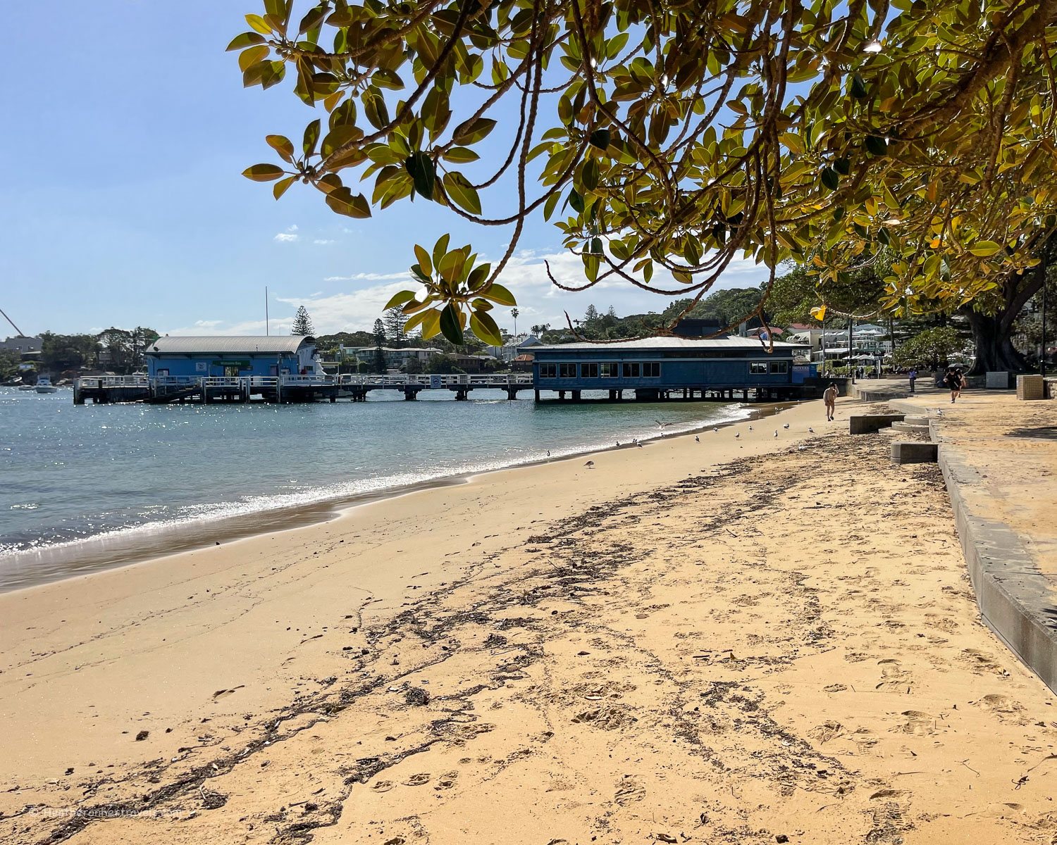 Watsons Bay Sydney Australia © Heatheronhertravels.com